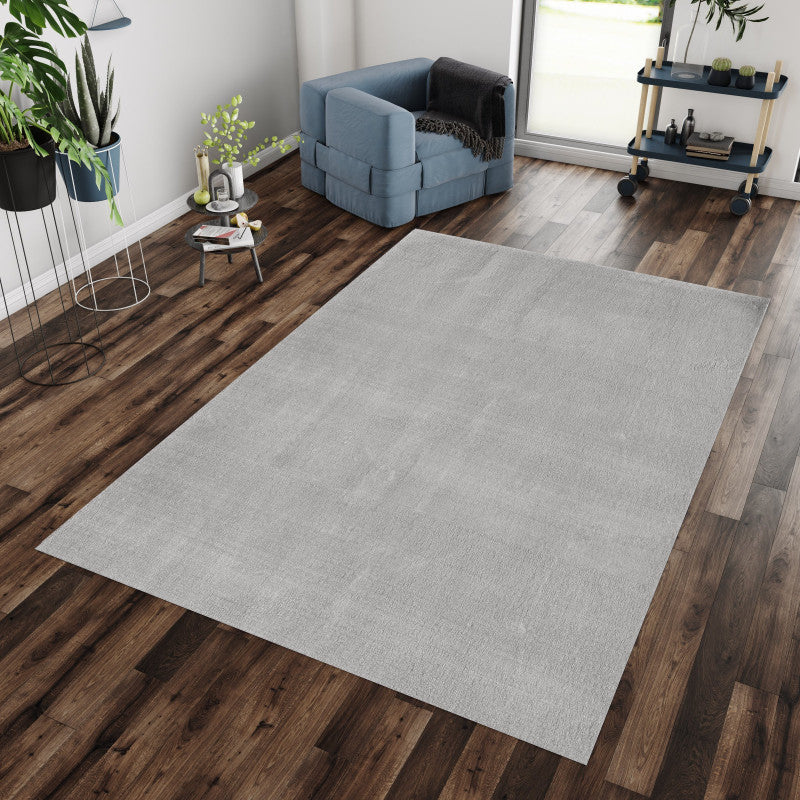 Kurzflor Teppich, Catwalk 2600, silber, rechteckig, Höhe 20mm