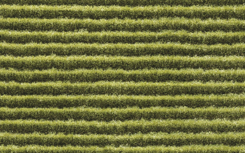 Hochflor Teppich, Telicia 200, grün, rechteckig, Höhe 30mm